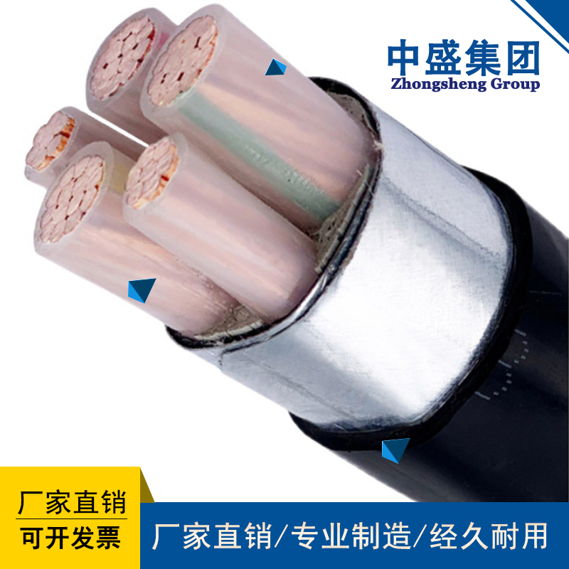 安徽天長(zhǎng)市中盛電纜防鼠防蟻電纜FSY11-YJV22 4*50