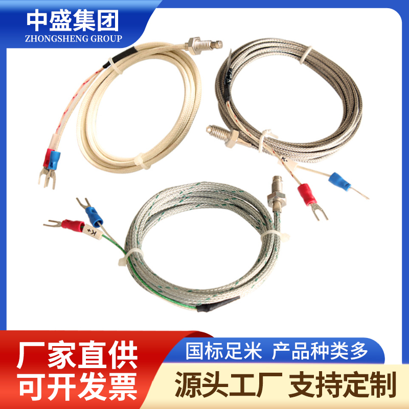 補償導(dǎo)線式鎧裝熱電偶WRPK-191