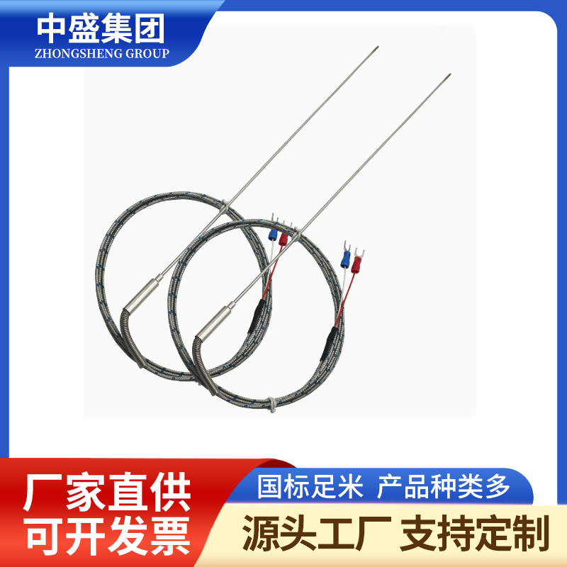 補(bǔ)償導(dǎo)線式鎧裝熱電偶WRNK-491