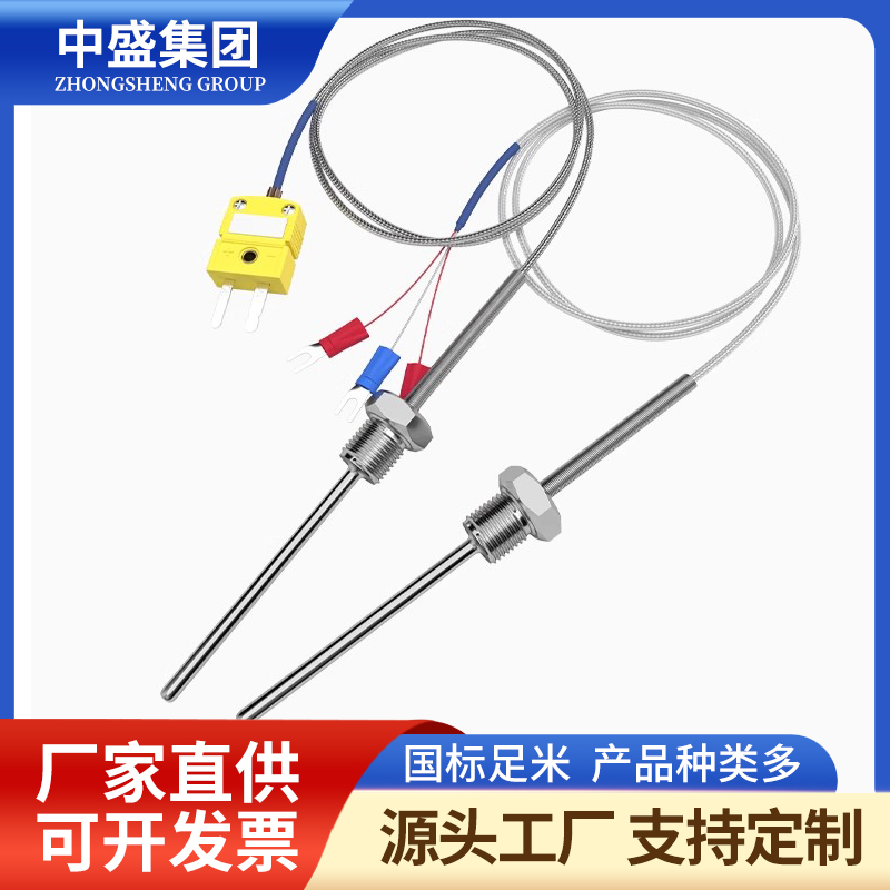 補償導(dǎo)線式鎧裝熱電偶WRNK-591